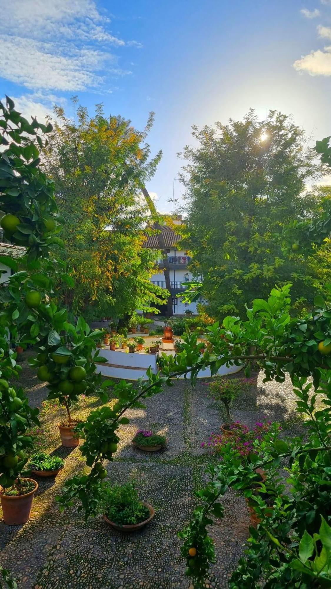 Andalusian Courtyard Appartement Sevilla Buitenkant foto
