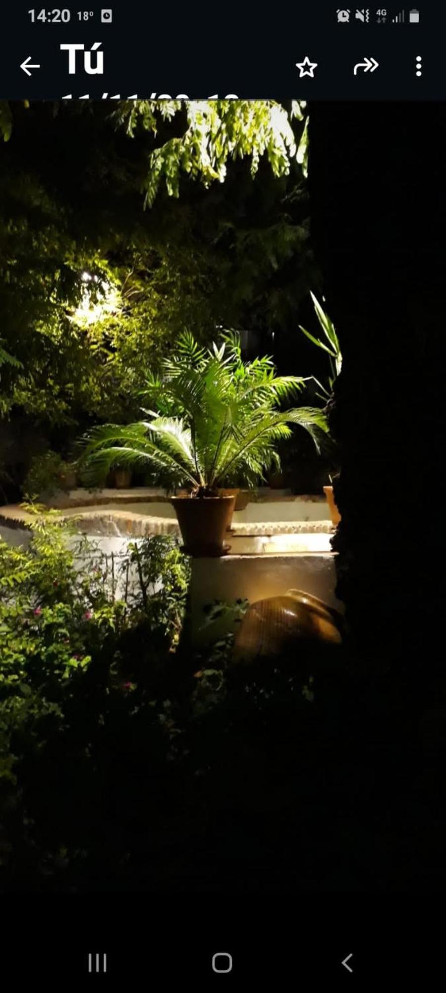 Andalusian Courtyard Appartement Sevilla Buitenkant foto