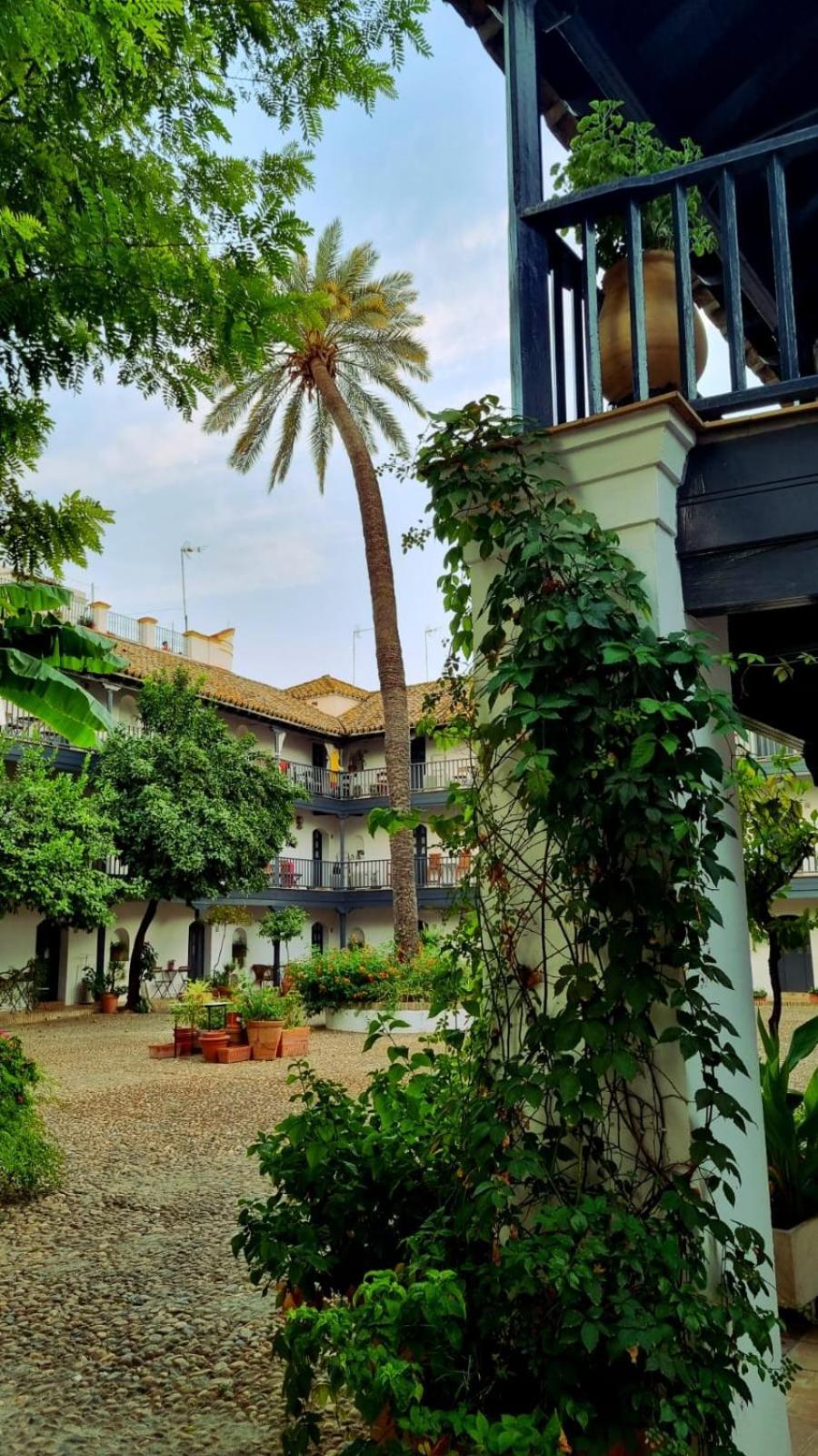 Andalusian Courtyard Appartement Sevilla Buitenkant foto