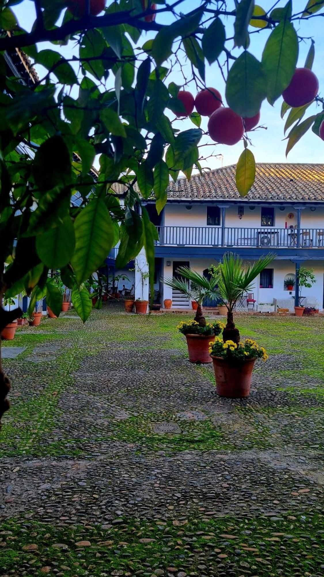 Andalusian Courtyard Appartement Sevilla Buitenkant foto